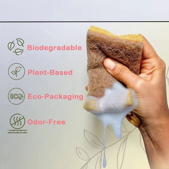 10 Pcs Natural Kitchen Sponge, Cellulose and Coconut Walnut Scrubber - Picture 9 of 9